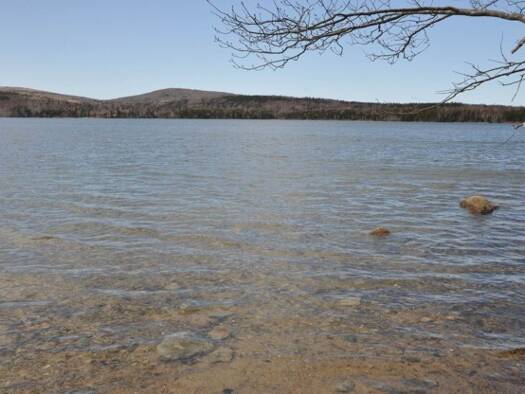 Grundstück zum Kauf 110.000 € 10.000 m² Grundstück Nova Scotia BOE 2Y0