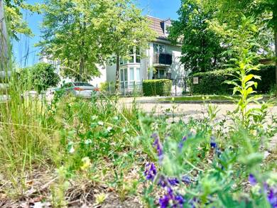 Mehrfamilienhaus zum Kauf 1.290.000 € 400,5 m² 583 m² Grundstück Oranienburg Oranienburg 16515