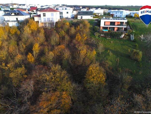 Grundstück zum Kauf 415.000 € 1.250 m² Grundstück Wincheringen 54457