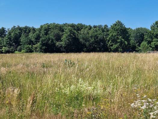 Grundstück zum Kauf 189.000 € 4.550 m² Grundstück frei ab sofort Oelstorf Salzhausen 21376