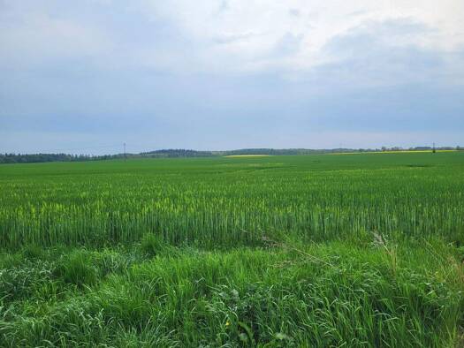 Grundstück zum Kauf 320.000 € 2.417 m² Grundstück Cammin 18195