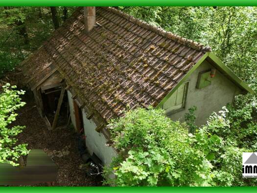 Haus zum Kauf 1,5 Zimmer 35 m² 3.000 m² Grundstück Dürrmenz Mühlacker 75417
