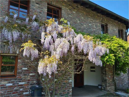 Reihenmittelhaus zum Kauf 595.000 € 5 Zimmer 238 m² 1.060 m² Grundstück Büsbach Stolberg (Rheinland) 52223