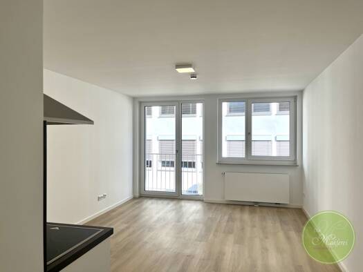 Wohnung zur Miete 594 € 1 Zimmer 29,4 m² 1. Geschoss frei ab sofort Steinbühl Nürnberg 90459