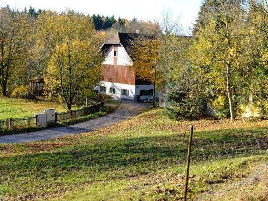 Grundstück zum Kauf 385.000 € 1.000 m² Grundstück Grabenhof Wels 4600