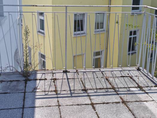 Wohnung zur Miete 1.990 € 4 Zimmer 110 m² Eckenheimer Landstraße Eckenheim Nord-Ost 60435