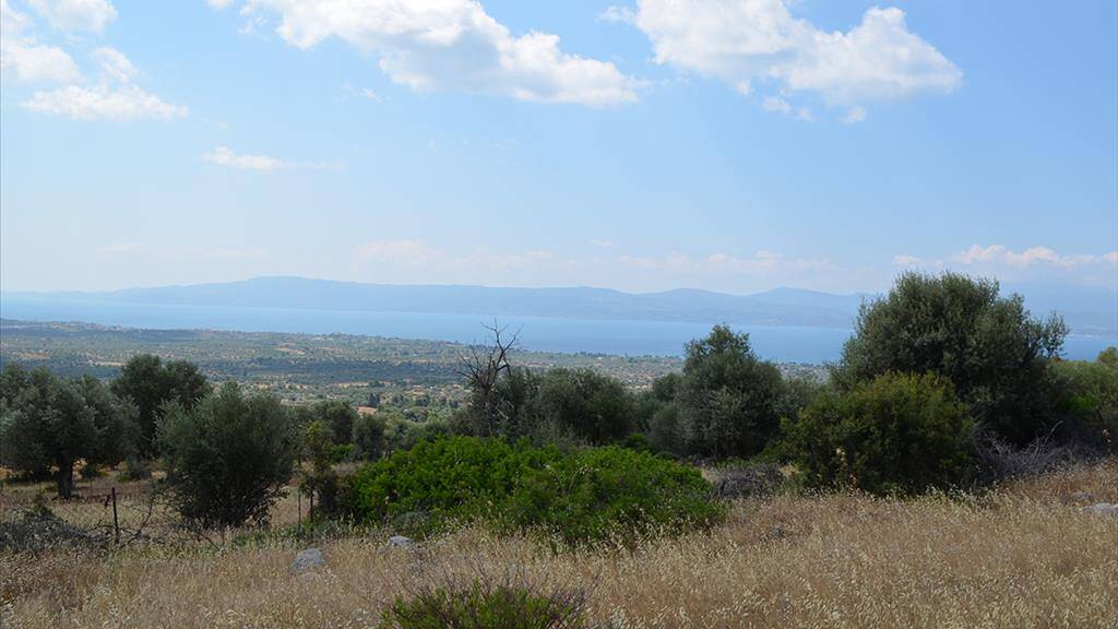 Land-/Forstwirtschaft zum Kauf 330.000 € 45.000 m² Grundstück Eubia