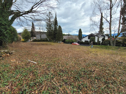 Grundstück zum Kauf 820.000 € 1.360 m² Grundstück Baden-Baden 76530