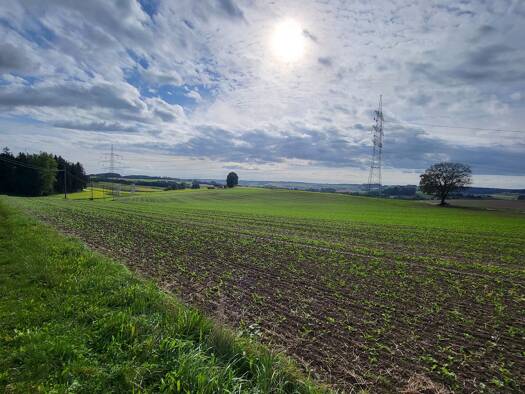 Land-/Forstwirtschaft zum Kauf 430.000 € 28.000 m² Grundstück Niedergeislbach Lengdorf 84435