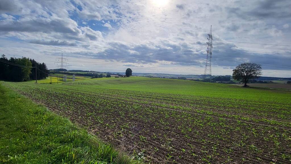 Land-/Forstwirtschaft zum Kauf 430.000 € 28.000 m² Grundstück Niedergeislbach Lengdorf 84435