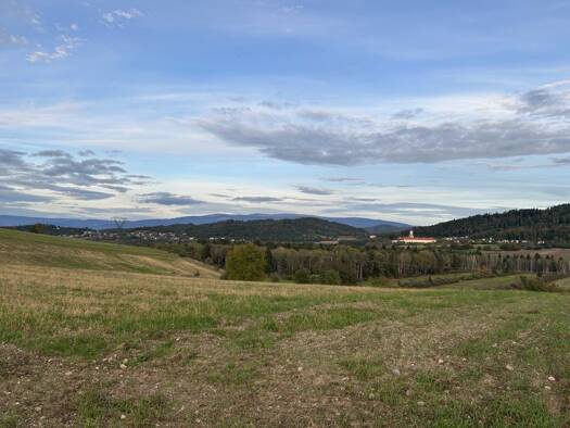 Landwirtschaftliche Fläche zum Kauf 250.000 € 22.982 m² Grundstück St. Georgen am Längsee 9313