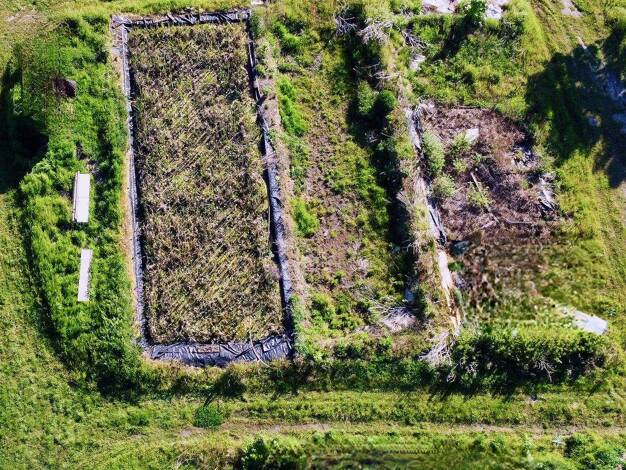 Grundstück zum Kauf 99.900 € 585 m² Grundstück Werneuchen Werneuchen OT Tiefensee 16356