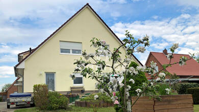 Mehrfamilienhaus zum Kauf 380.000 € 9 Zimmer 245 m² 1.251 m² Grundstück Parchim Parchim 19370