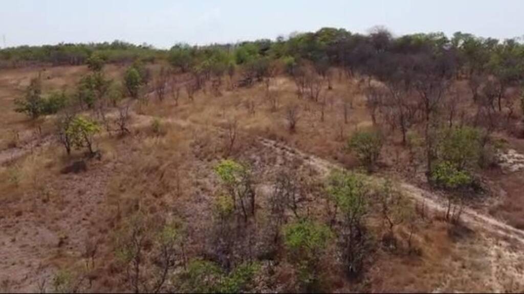 Grundstück zum Kauf 3.450.000 € 9.999.999 m² Grundstück Novo Aripuana 69260000