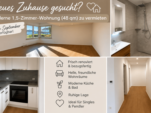 Studio zur Miete 650 € 1,5 Zimmer 48 m² Geschoss EG/2 frei ab sofort Waldshut Waldshut-Tiengen 79761