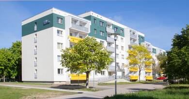 Wohnung zur Miete 280 € 1 Zimmer 31,3 m² 3. Geschoss Kreuzerstraße 10 Silberhöhe Halle 06132