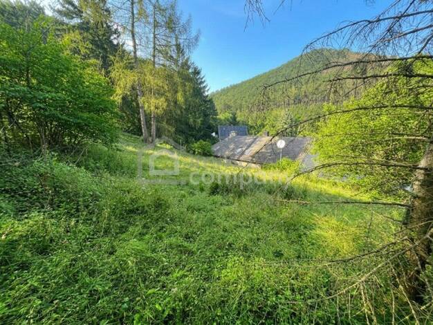 Bungalow zum Kauf 377.000 € 5 Zimmer 1.607 m² Grundstück Alland 2534