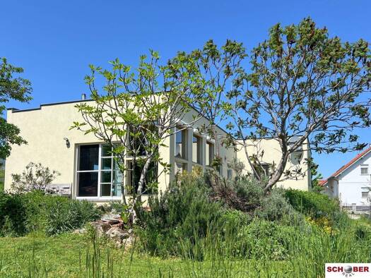 Haus zum Kauf 348.000 € 3 Zimmer 127,9 m² 717 m² Grundstück Mörbisch am See 7072