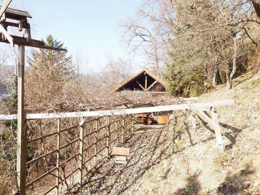 Grundstück zum Kauf 160.000 € 1.140 m² Grundstück Weinbergweg Stattegg 8046