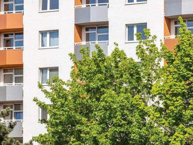 Wohnung zur Miete 444 € 2 Zimmer 43,5 m² 2. Geschoss frei ab 27.02.2026 Amalie-Dietrich-Platz 9 Gorbitz-Süd Dresden 01169