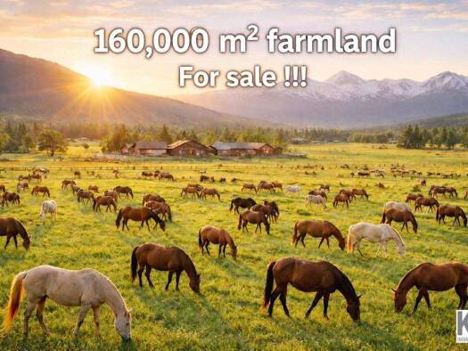 Landwirtschaftliche Fläche zum Kauf 3.750.000 € 150.000 m² Grundstück Gögging Bad Füssing 94072