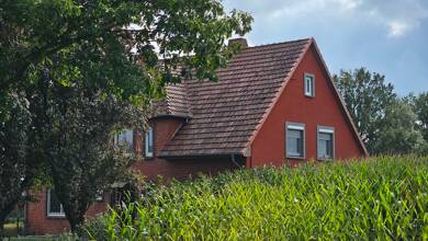 Mehrfamilienhaus zum Kauf 225.000 € 7 Zimmer 208,8 m² 1.250 m² Grundstück Maasen Maasen 27249