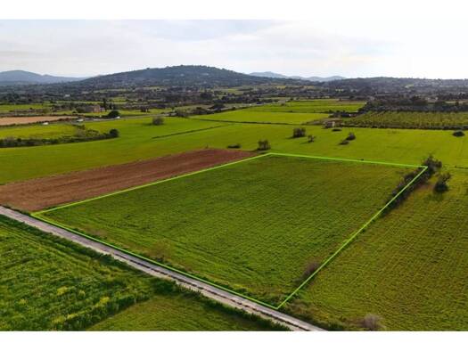 Acker-/Waldstück zum Kauf 190.000 € Manacor 07500