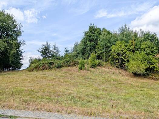Grundstück zum Kauf provisionsfrei 249.500 € 700 m² Grundstück Rimbach Rimbach 64668
