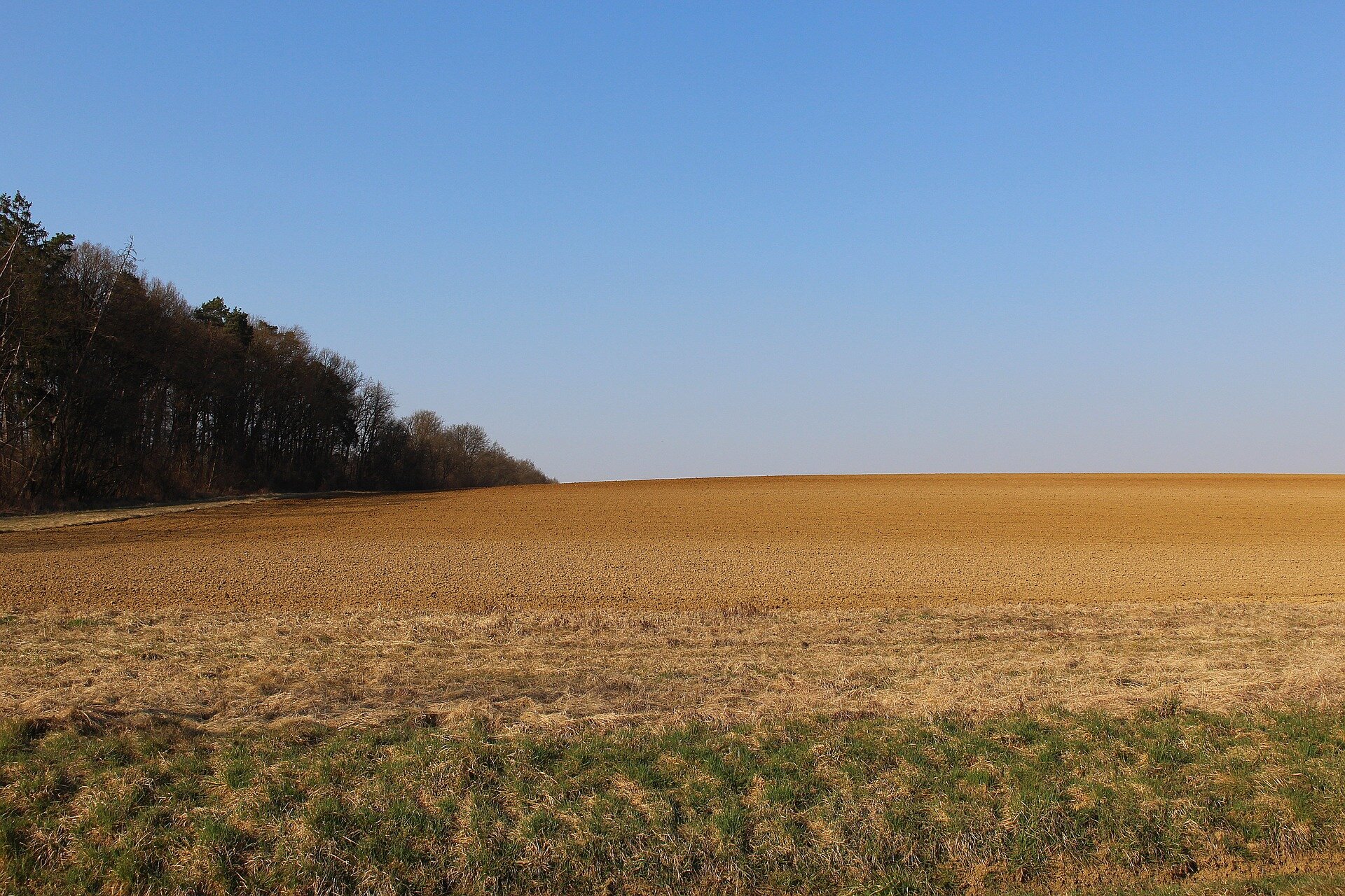 Grundstück zum Kauf 13.000 m²<br/>Grundstück Ortenberg Marburg 35039