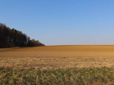 Grundstück zum Kauf 13.000 m² Grundstück Marburg Marburg 35039