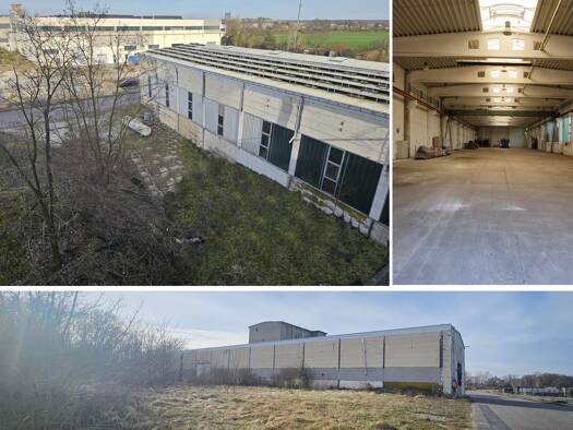Lagerhalle zum Kauf 348.000 € 1.350 m² Lagerfläche Laußig Laußig 04838