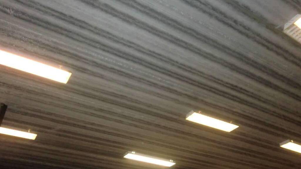 Lagerhalle zum Kauf 149.000 € 170 m² Lagerfläche Schacht-Audorf 24790