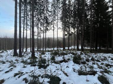 Land-/Forstwirtschaft zum Kauf 46.000 € 9.480 m² Grundstück Lengenwang 87663