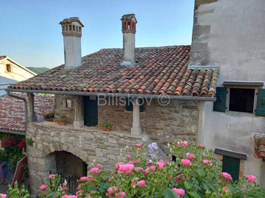 Haus zum Kauf 745.000 € 10 Zimmer 294 m² Buzet