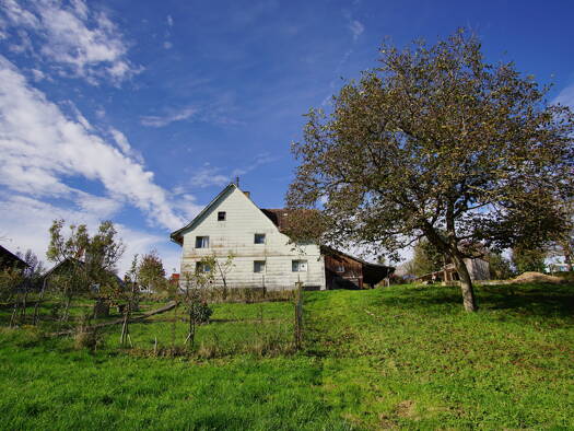 Haus zum Kauf 279.000 € 3 Zimmer 100 m² 3.160 m² Grundstück Großschönach Herdwangen-Schönach 88634