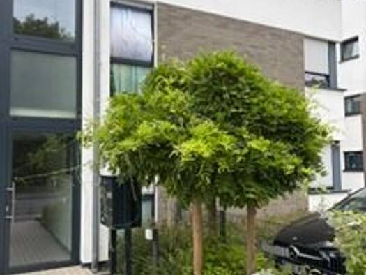 Wohnung zur Miete 660 € 3 Zimmer 80 m² 1. Geschoss Emmerich Emmerich am Rhein 46446