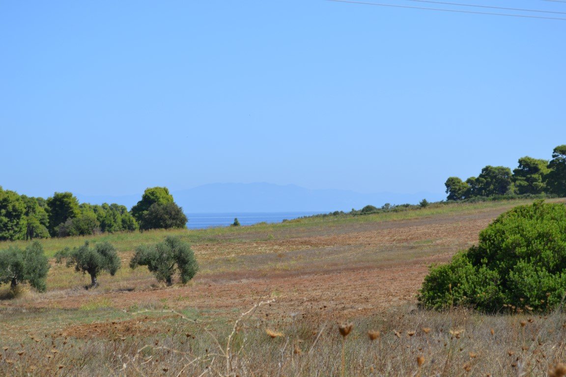 Land-/Forstwirtschaft zum Kauf 150.000 € 4.380 m²<br/>Grundstück Chalkidiki