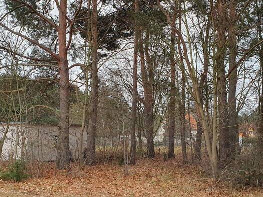 Grundstück zum Kauf 133.000 € 651 m² Grundstück Dabendorf Zossen 15806