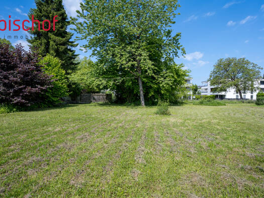 Grundstück zum Kauf 545.000 € 606 m² Grundstück Hard 6971