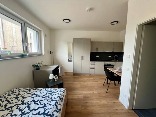 Wohnung zur Miete 549 € 1 Zimmer 26 m² EG Kohlenhofstraße 60 Gostenhof Nürnberg 90443