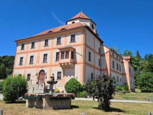 Schloss zum Kauf 22 Zimmer 620 m² 9.500 m² Grundstück Schönberg Bad Brambach 08648