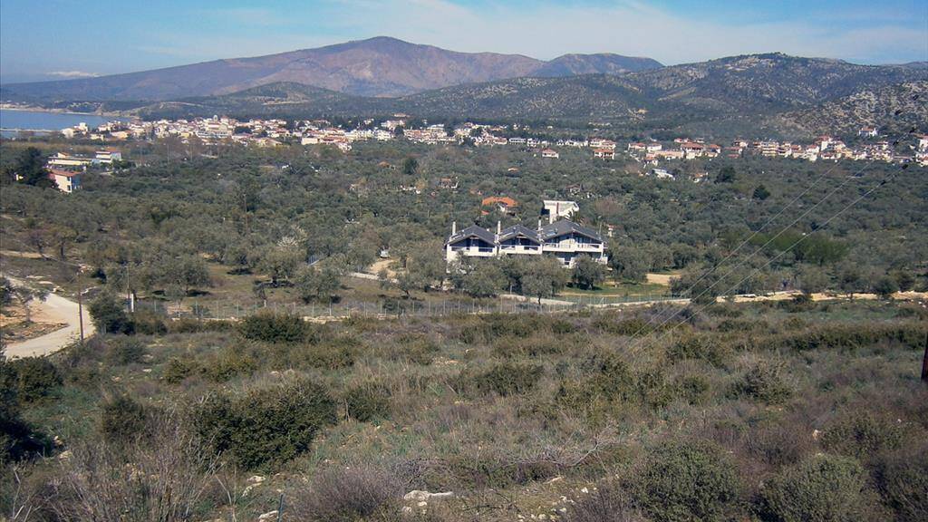 Land-/Forstwirtschaft zum Kauf 200.000 € Thassos