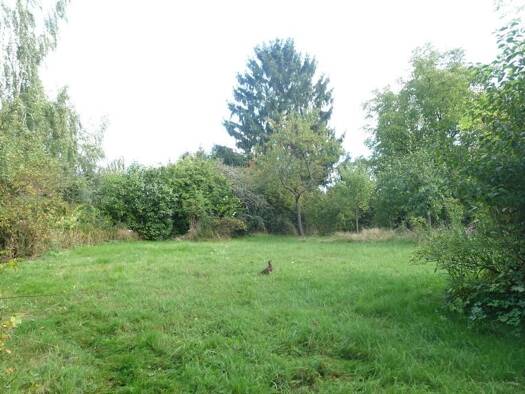 Grundstück zum Kauf 8.000 € 1.080 m² Grundstück Ullendorf Klipphausen 01665