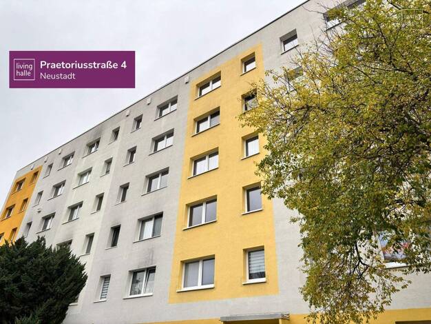 Wohnung zur Miete 415 € 2 Zimmer 57,2 m² 2. Geschoss Praetoriusstraße 4 Südliche Neustadt Halle 06124