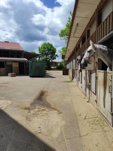 Reiterhof zum Kauf 450.000 € 21.200 m² 3.500 m² Grundstück Sigmaringen Sigmaringen 72488