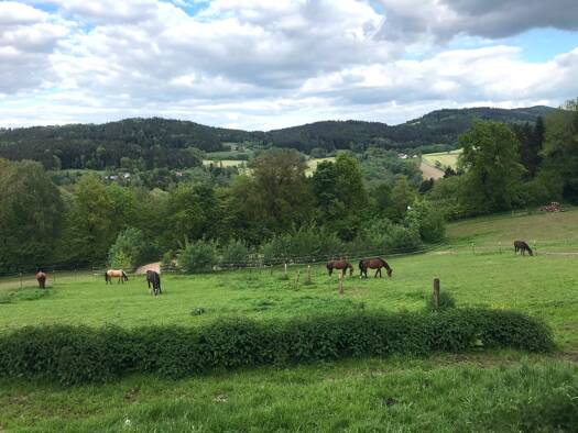 Immobilie zum Kauf 759.000 € 9 Zimmer 309 m² 2.300 m² Grundstück Konzell Konzell 94357