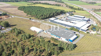 Lagerhalle zum Kauf provisionsfrei 3.838 m² Lagerfläche Freiwalde Bersteland 15910