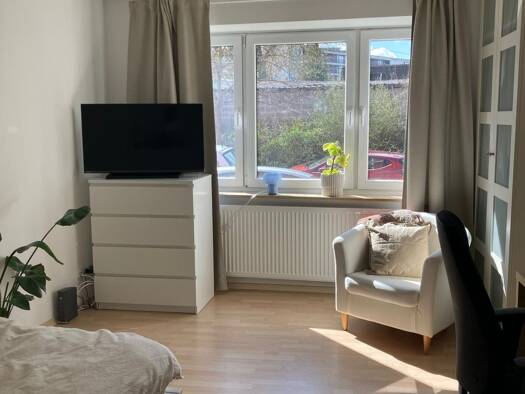 Wohnung zur Miete 550 € 1 Zimmer 41,9 m² frei ab 01.05.2026 Riemenschneider Str. 9 Altstadt Würzburg 97072