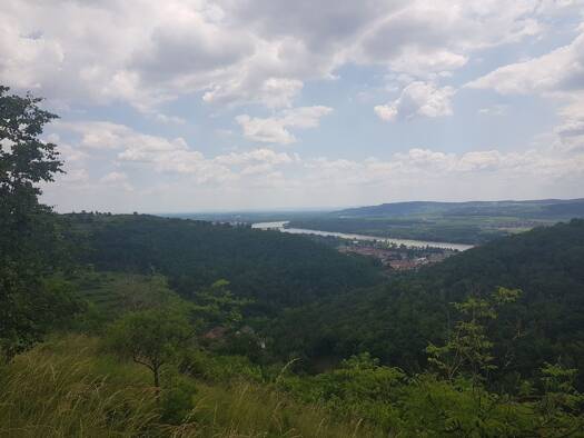 Land-/Forstwirtschaft zum Kauf 60.000 € 3.489 m² Grundstück Egelsee Krems an der Donau 3500