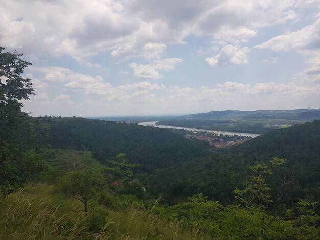 Land-/Forstwirtschaft zum Kauf 60.000 € 3.489 m² Grundstück Egelsee Krems an der Donau 3500
